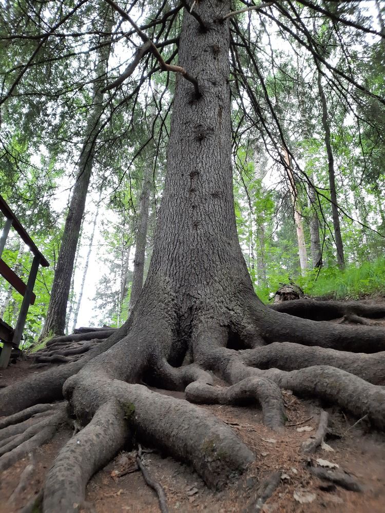 Photograph by Евгения Митюшкина