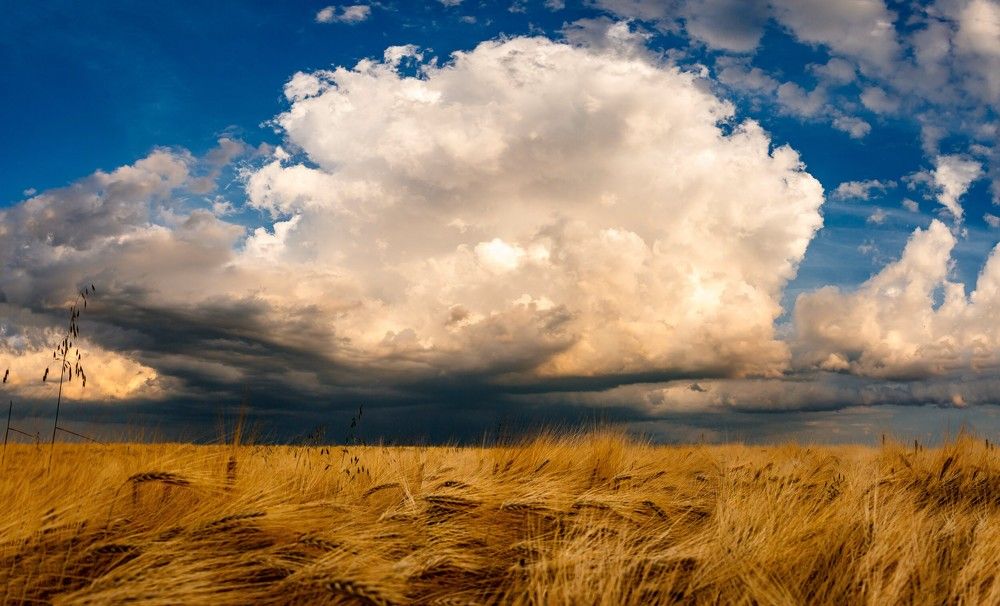 Photograph by Vlad Badau