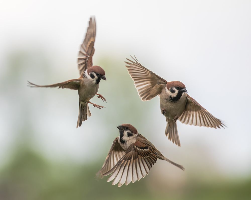 Photograph by Наталья