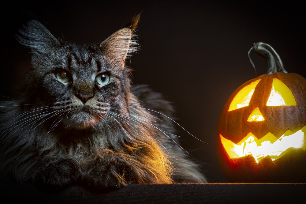 Photograph by Сергей Чупахин