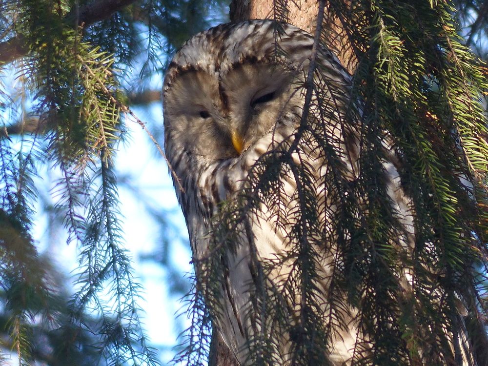 Photograph by Георгий Салюков