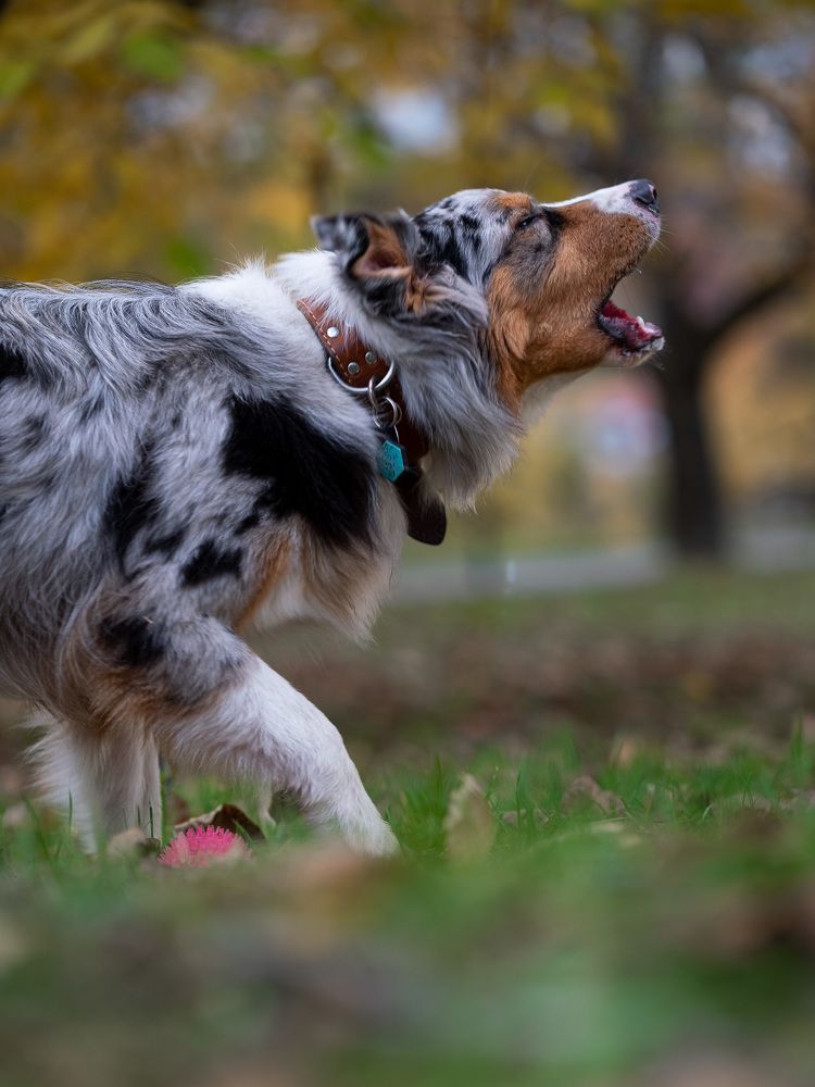 Photograph by Anna Agaltsova