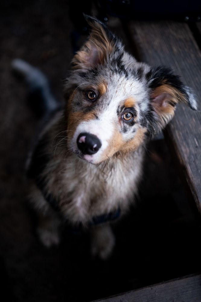 Photograph by Anna Agaltsova