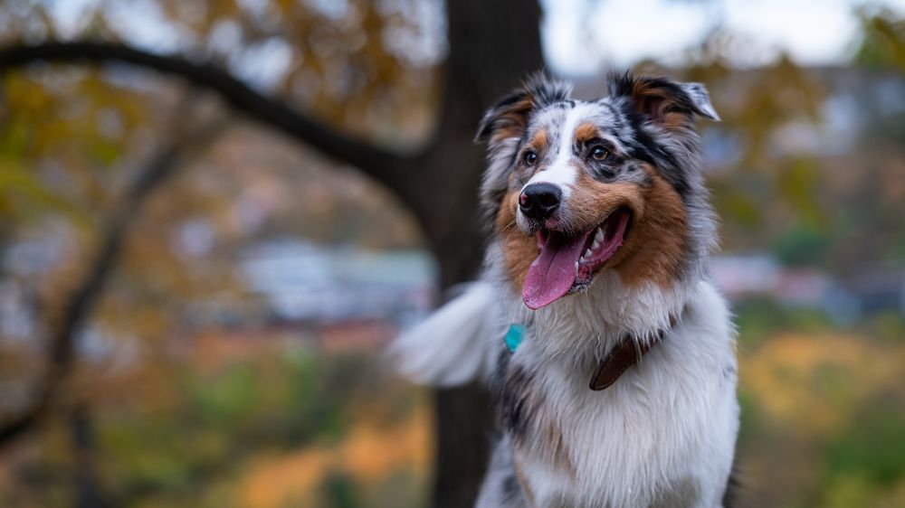 Photograph by Anna Agaltsova