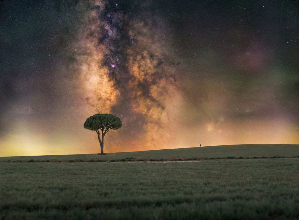 Photograph by Hector Hernandez