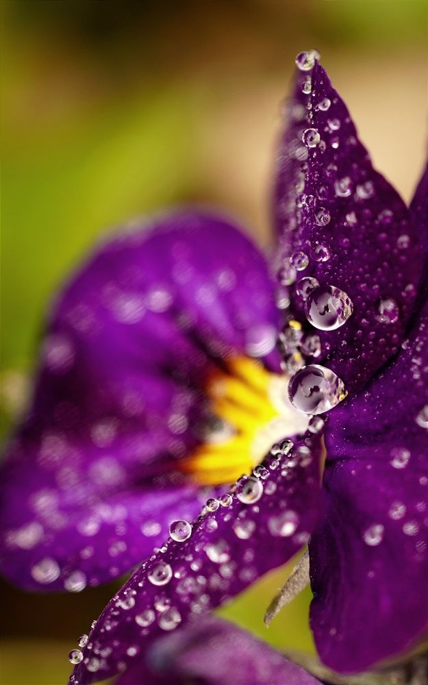 Photograph by kamran shirani