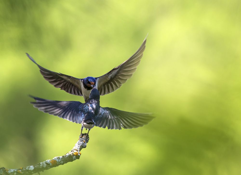 Photograph by Наталья