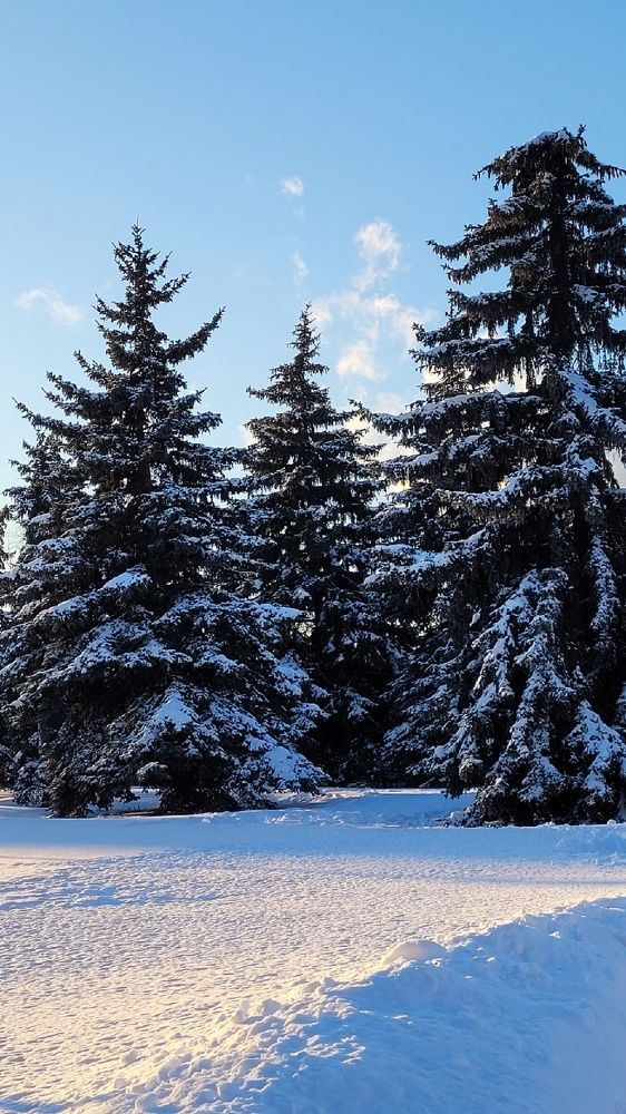 Photograph by Марина Короткова