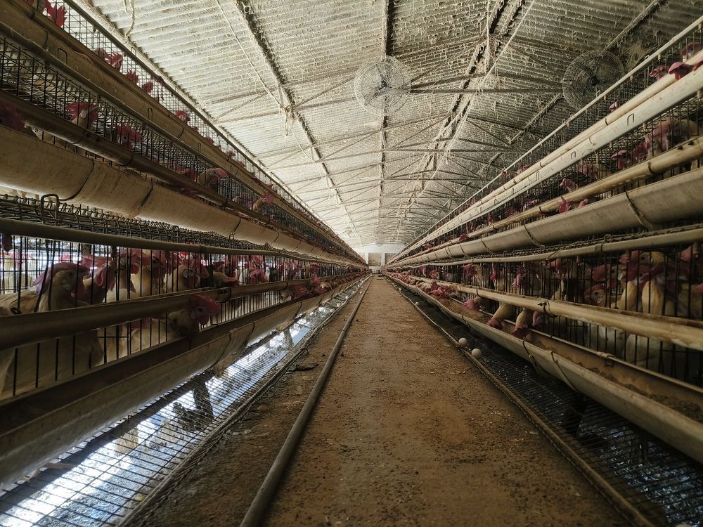 Photograph by Swastik Arora