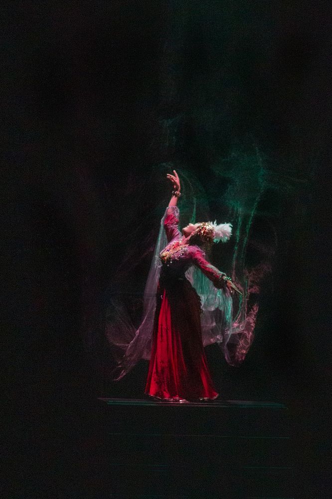 Photograph by Elena Mingazova