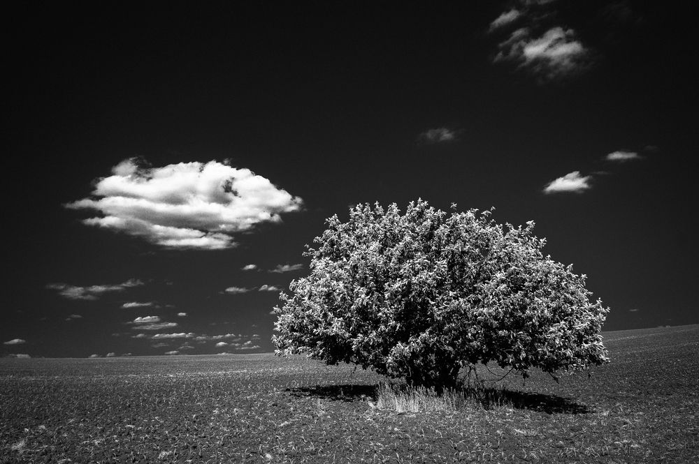 Photograph by Ale Se