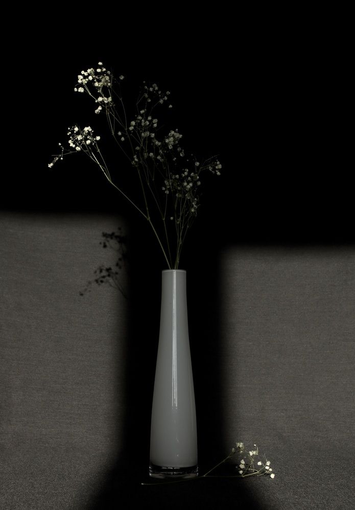 Photograph by Гуляева Светлана