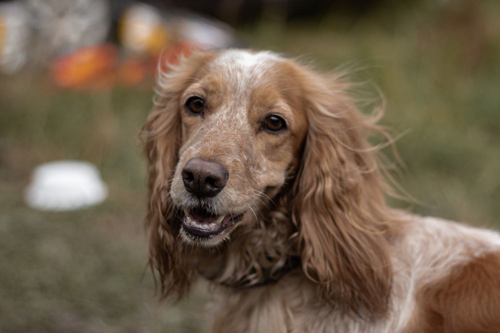 Photograph by Наталья