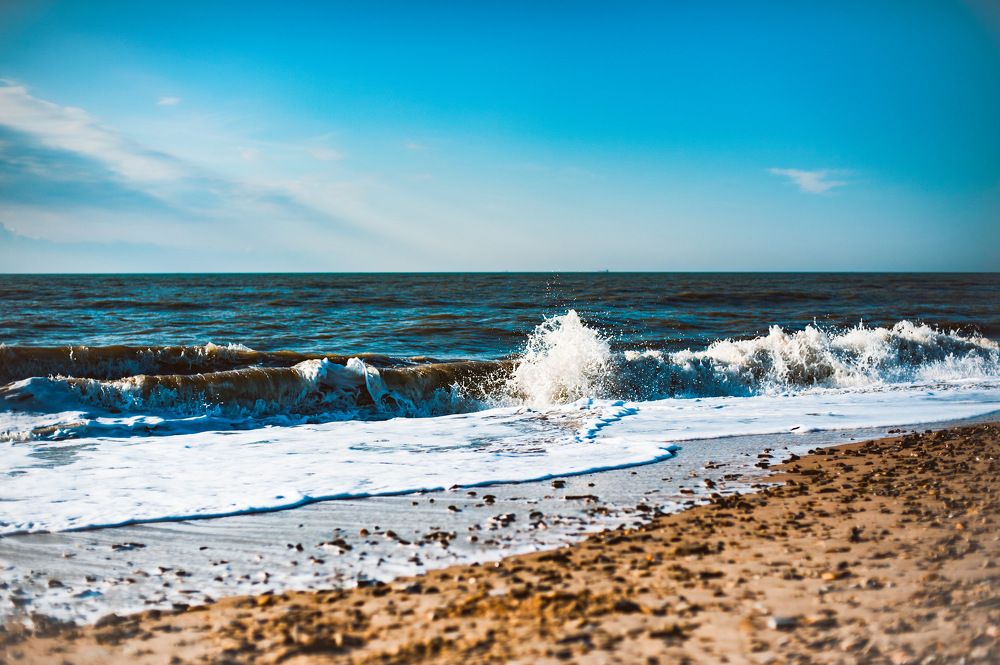 Photograph by Дарья Молчанова