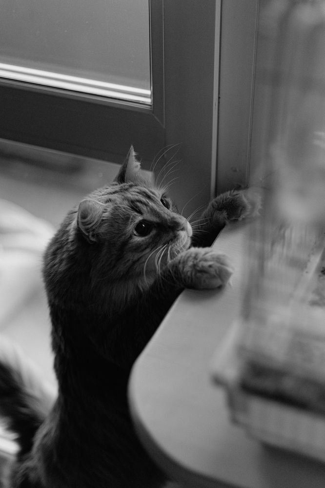 Photograph by Наталья