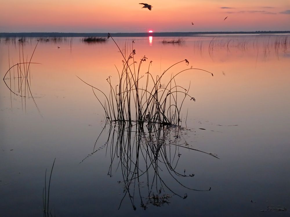 Фотография автора Кухта Мария