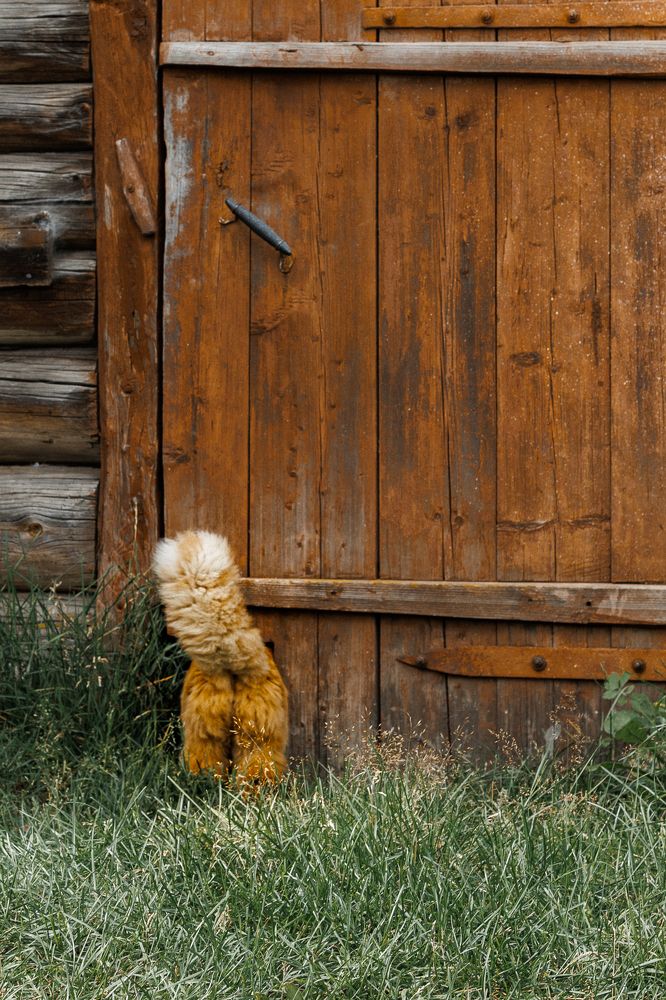 Photograph by Наталья