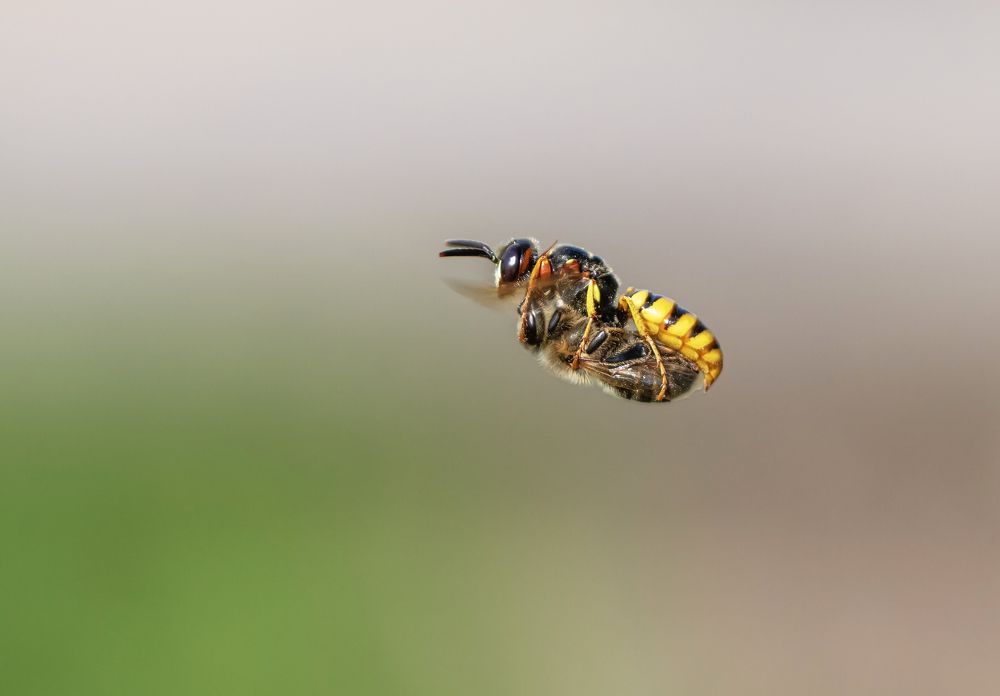 Photograph by Наталья