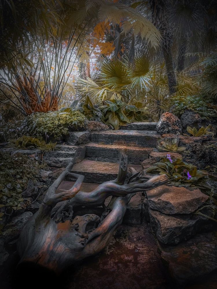 Photograph by Елена Переверзева