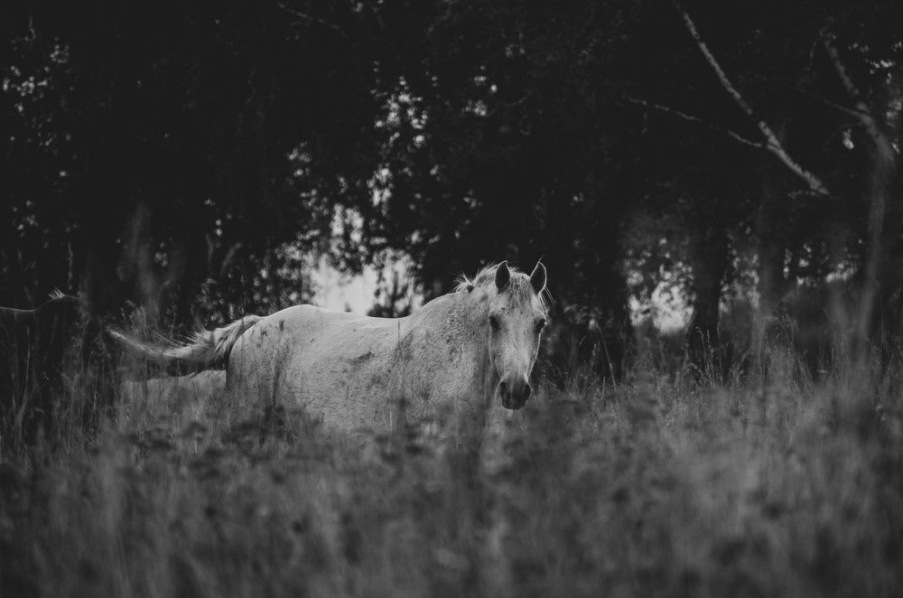 Photograph by Елена Федорова