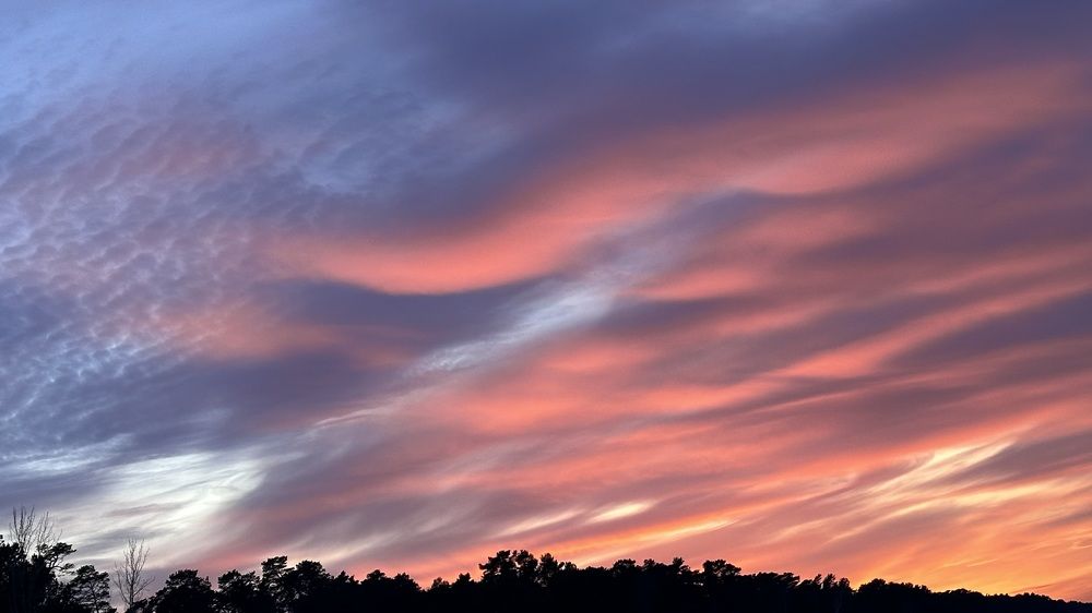 Photograph by Karina Stavicka