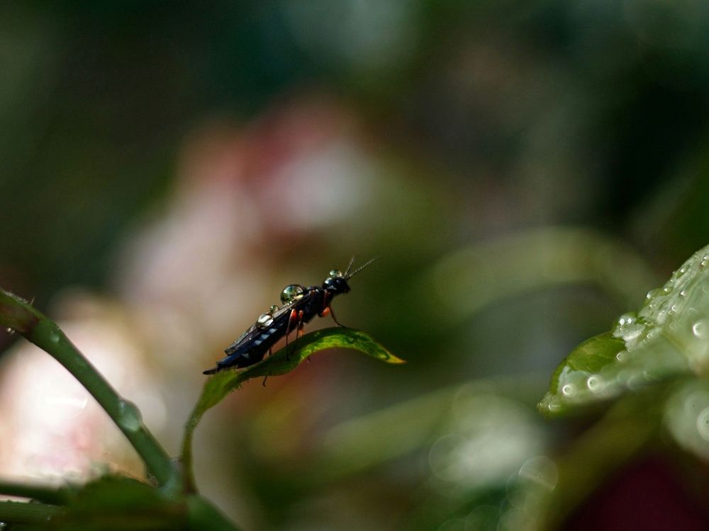 Если твоя судьба не вызывает смеха, значит ты не понял шутки