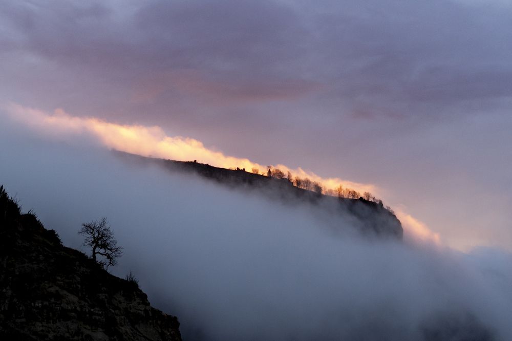 Photograph by Pei Iborra