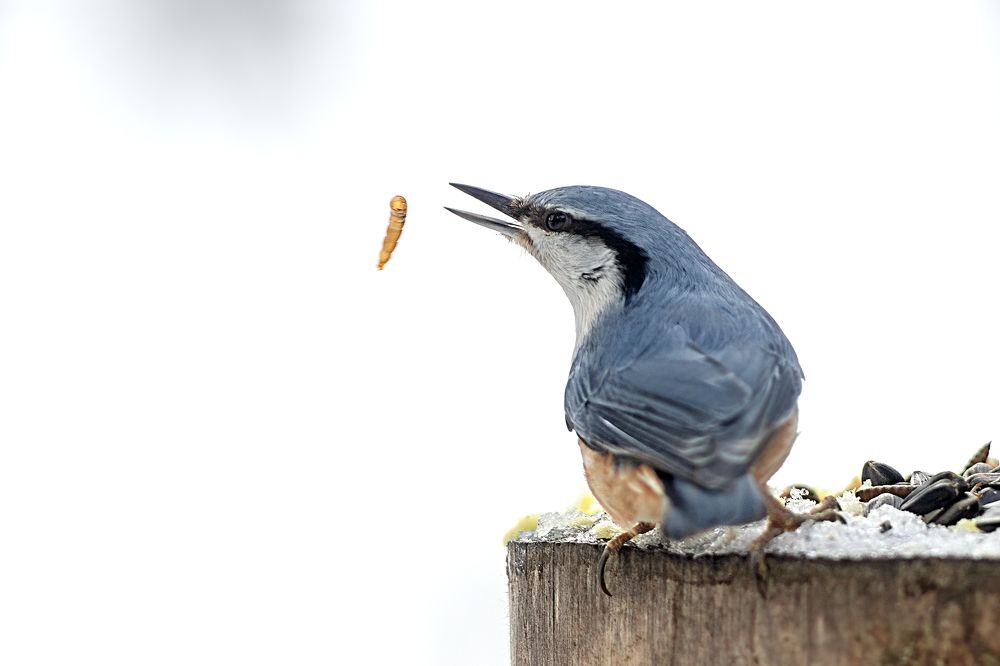 Photograph by Александр Соловьев