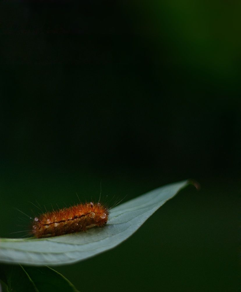 Суть жизни - найти самого себя