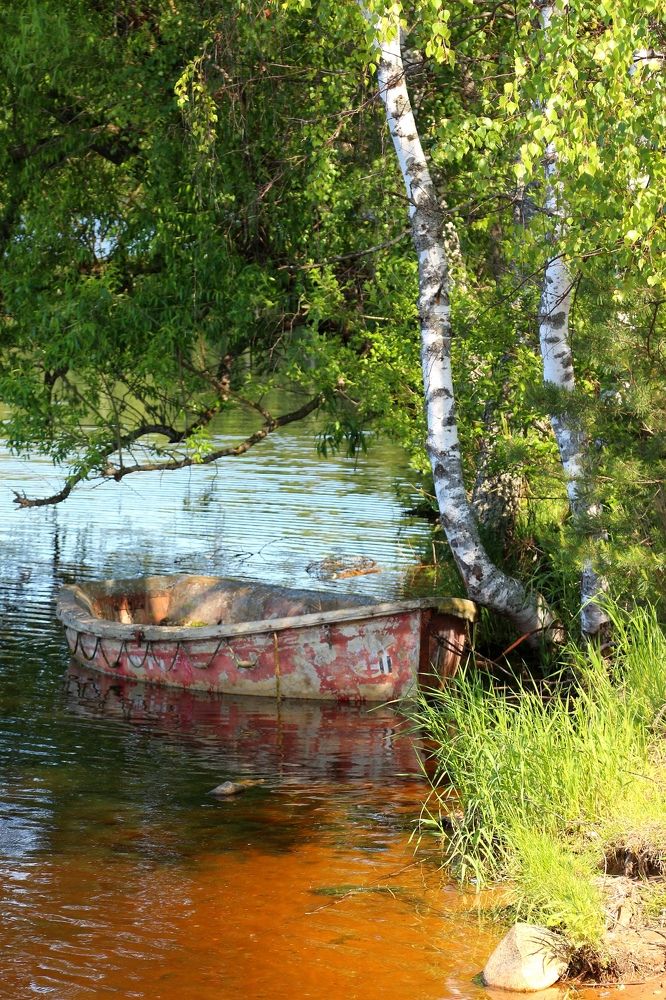 Photograph by Александра