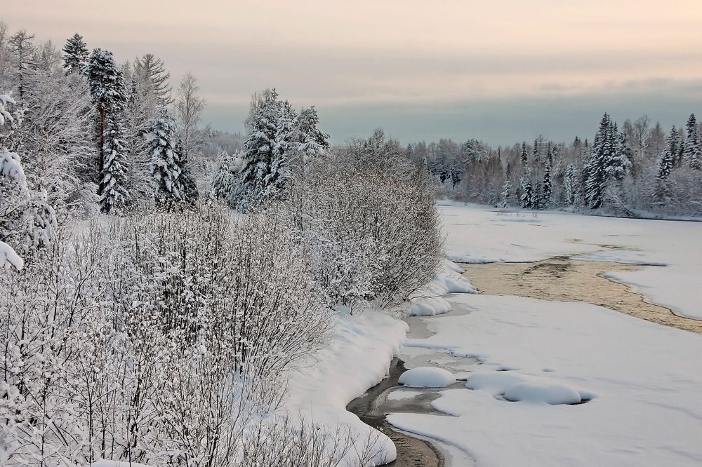 Photograph by Сергей Петров