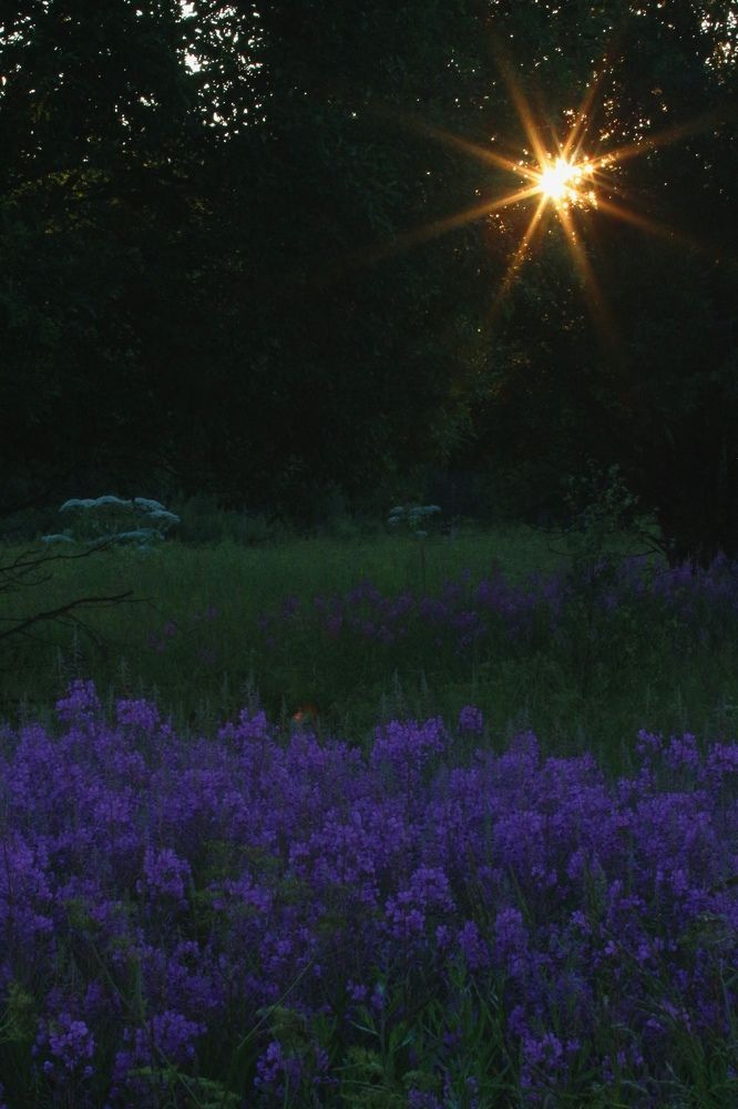 Photograph by Александра