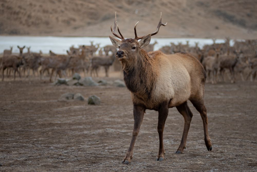 Photograph by Соловьева Татьяна Владимировна