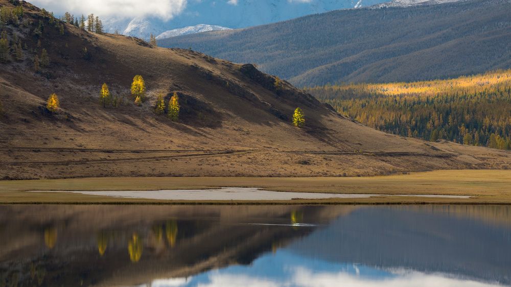 Фотография автора  Андрей