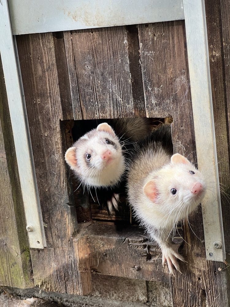 Photograph by Rozaliya Volosevich