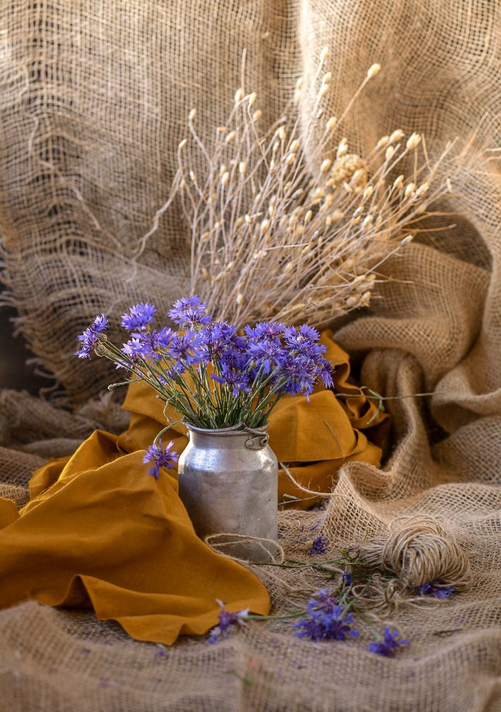 Photograph by Светлана Кавказская