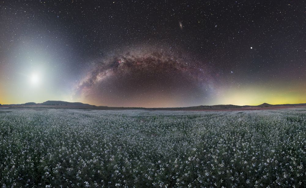 Photograph by Hector Hernandez