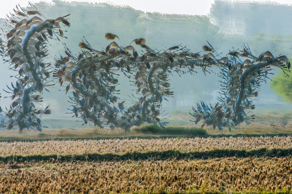 Photograph by Alap Brahmbhatt