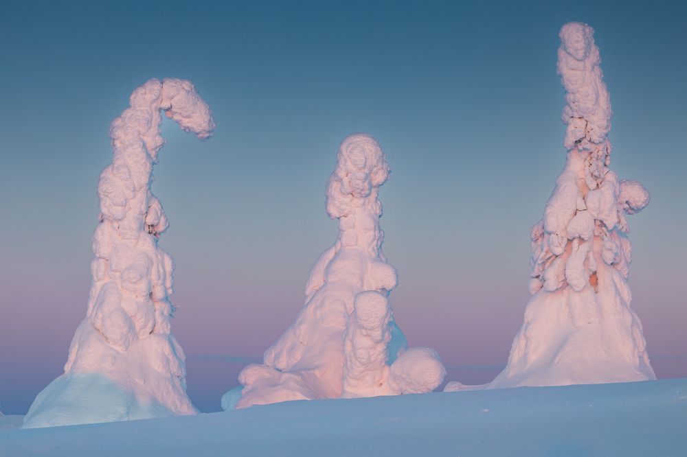 Photograph by Сергей Гук