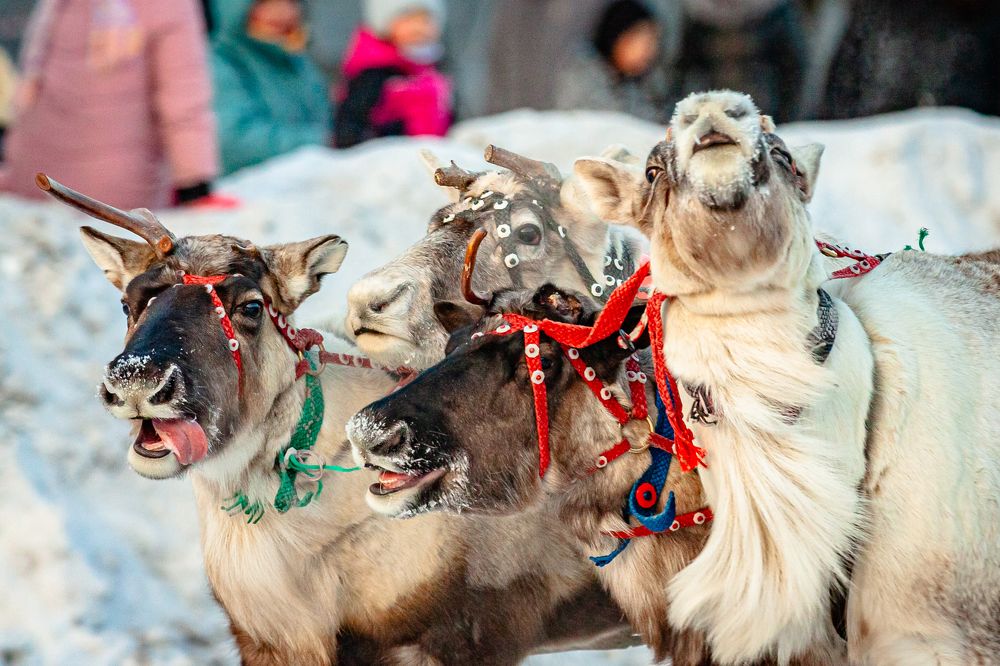 Photograph by Александр Щербаков