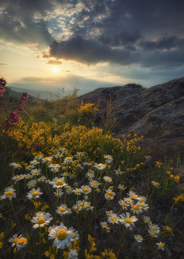 Photograph by Костадин Маджаров