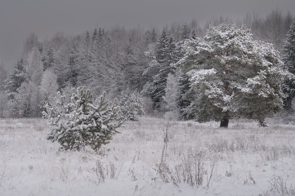 Photograph by Дымова Вера