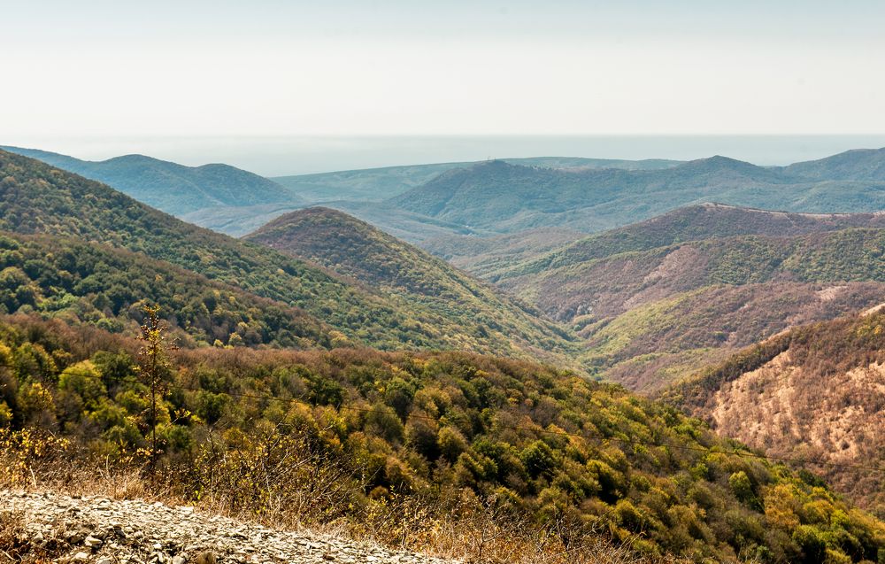 Photograph by Виктор Садырин