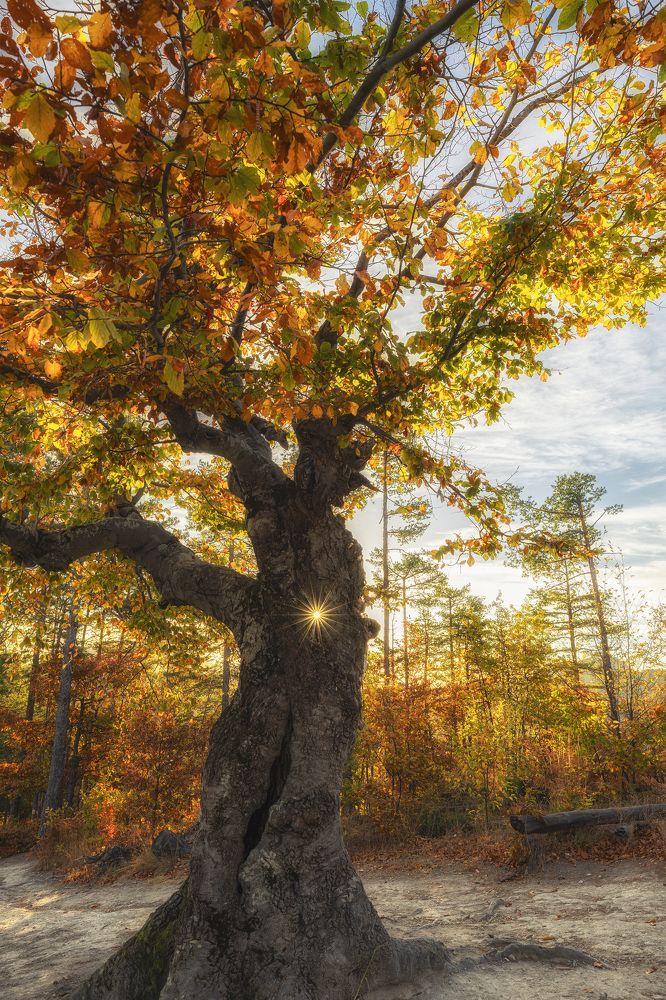 Photograph by Костадин Маджаров