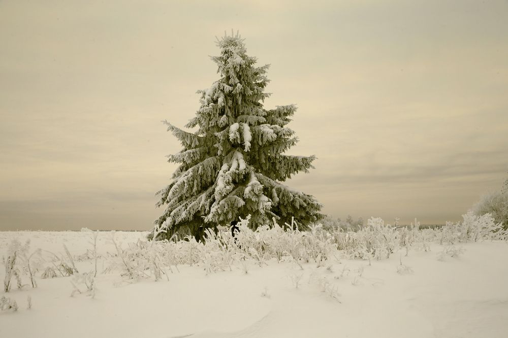 Фотография автора Юрий Кетель