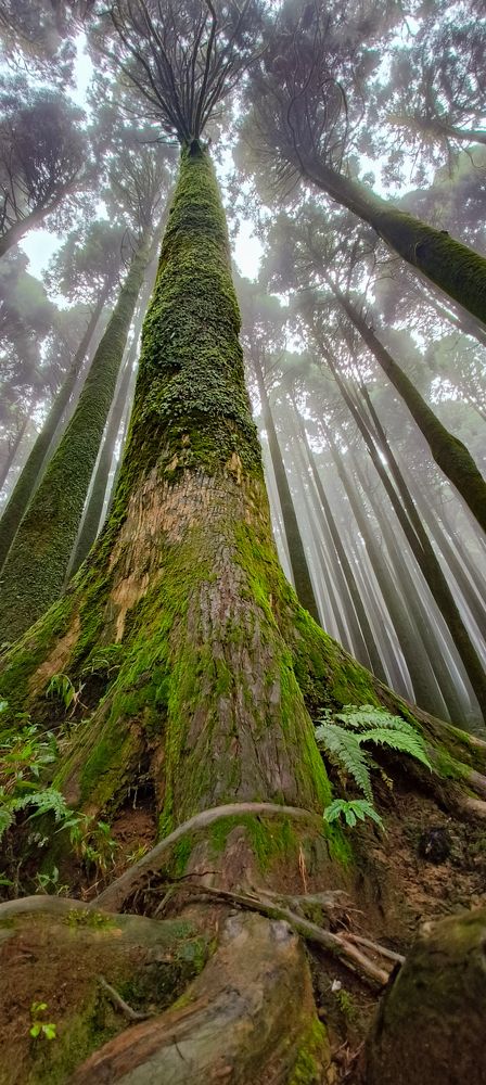 Photo #10401366