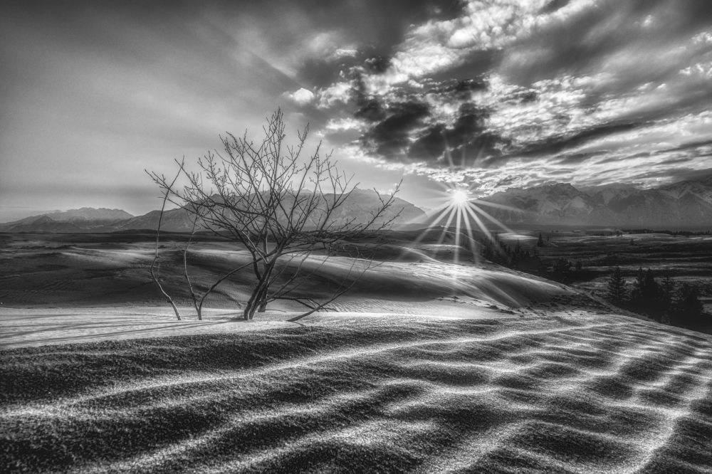 Photograph by Полякова Наталия