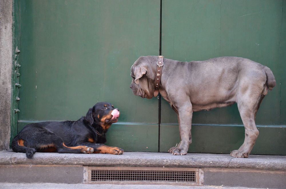 Photograph by Татьяна