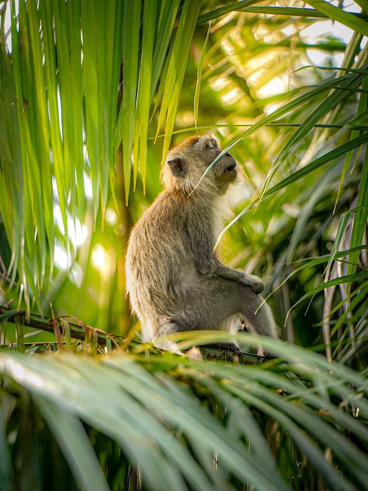 Photograph by Lee Yao Fui