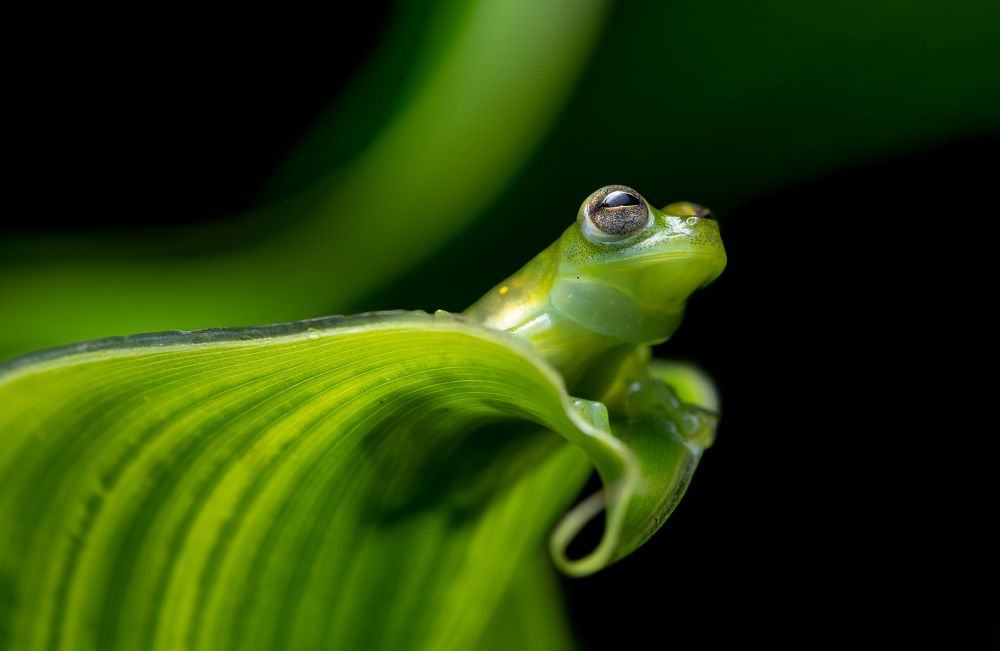 Photograph by Heiler